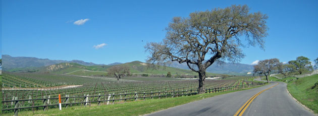 California wine country tour day 6