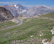 Yellowstone